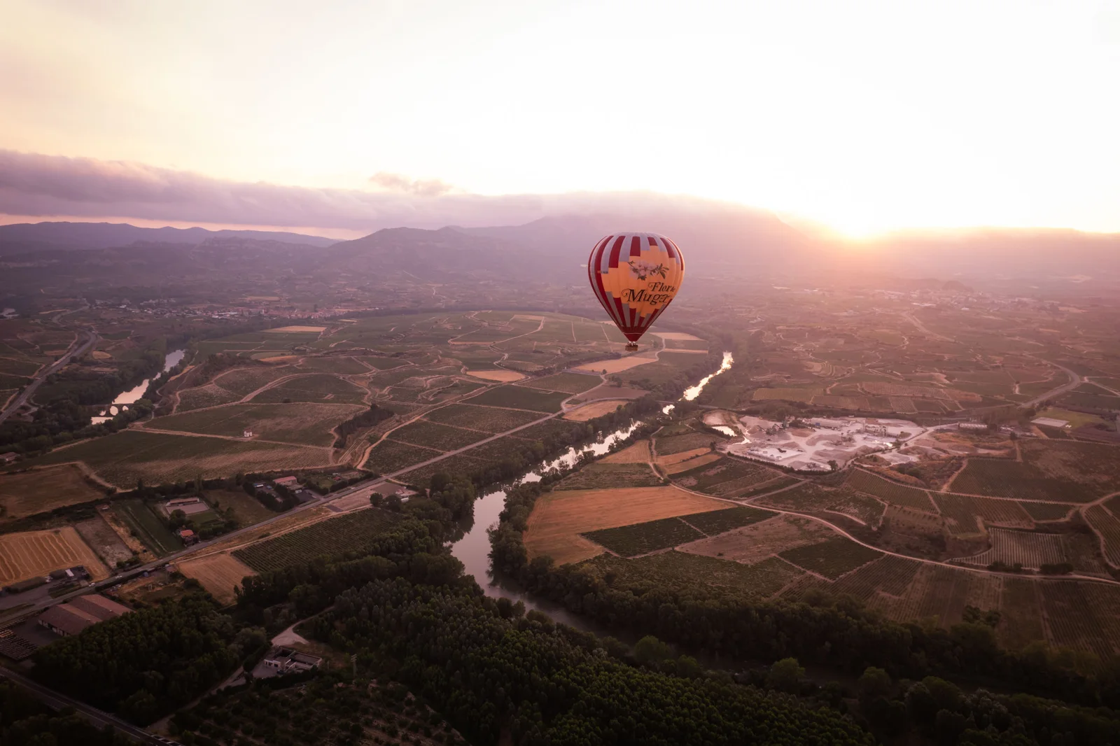 Hot air balloon over the countryside